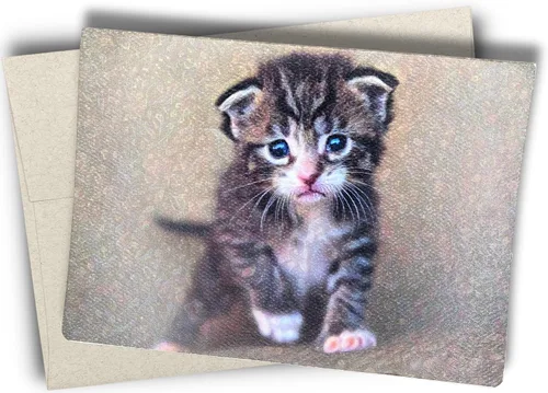 Adorable tarjeta de felicitación de gatito gris (5 x 7 pulgadas) con sobre. En blanco con bonita imagen de gato en el interior. Perfecta para los