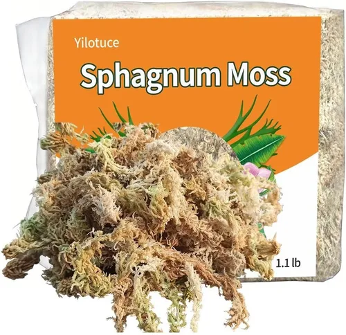 Miniatura 7 de Musgo esfagnum comprimido de 3.2 oz para plantas, musgo esfagnum prémium cuidadosamente seleccionado para orquídeas