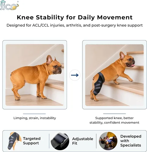 Miniatura 2 de Rodillera para perro para soporte de pierna trasera, pierna derecha, soporte CCL ACL para perros, aprobado por veterinarios, soporte ortopédico