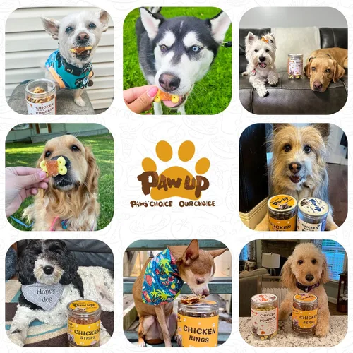Miniatura 7 de PAWUP Dog Treats - Galletas de calabaza envueltas en pollo, sin cuero crudo con taurina, golosinas de entrenamiento masticables bajas en grasa, 12.5