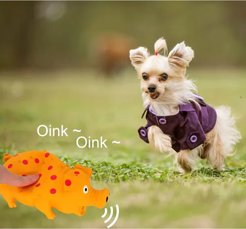Miniatura 5 de Andiker Juguete Chirriante para Perros, Juguetes de Látex con Puntos para Masticar Perros con Sonido de Gruñidos Oinks, Juguete de Cerdo Gruñón