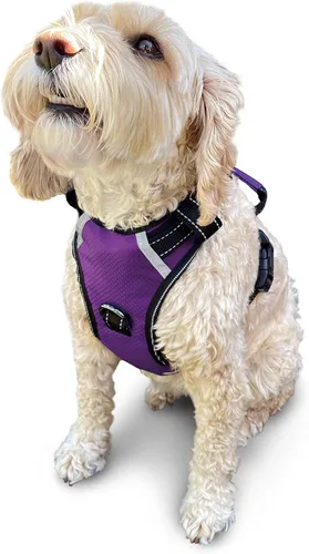 Miniatura 26 de Arnés antitirones para perro pequeño con 2 hebillas de liberación rápida y mango de fácil control, chaleco suave reflectante sin estrangulamiento