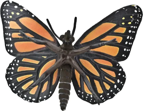 Miniatura 2 de Safari Ltd. Figura de mariposa monarca, figura realista de insectos de 4.5 pulgadas, juguete educativo para niños, niñas y niños a partir de 3 años