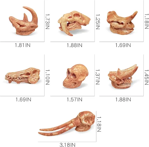 Miniatura 7 de LC JoyCre Juego de huesos de animales prehistóricos miniatura realistas para caja de arena, huesos de dinosaurio falsos para niños, juguetes
