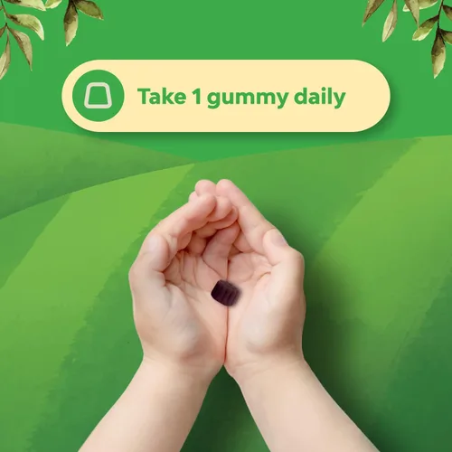 Miniatura 6 de Gomitas de saúco para niños con zinc y vitamina C, deliciosas gomitas de saúco negro Sambucus para apoyo inmunológico de niños, apoyo diario
