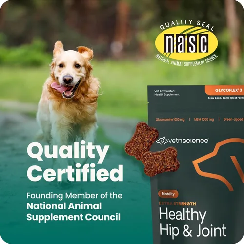 Miniatura 7 de VetriScience Glycoflex 3 Suplemento para cadera y articulaciones para perros, suplemento de máxima fuerza para perros con glucosamina, MSM, mejillón