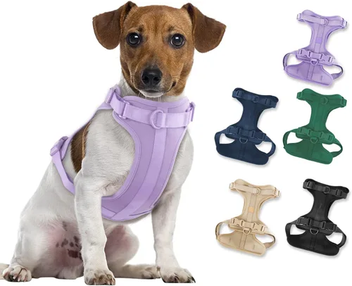 Miniatura 20 de Arnés ligero para perro sin tirones: arnés ajustable y duradero de malla transpirable con cojín suave y cómodo, para perros pequeños, medianos y Lila