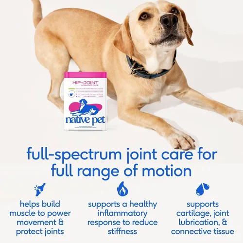 Miniatura 2 de Native Pet Apoyo avanzado para el intestino y la movilidad: suplemento de cadera y articulaciones para perros - Soporta articulaciones, cartílago