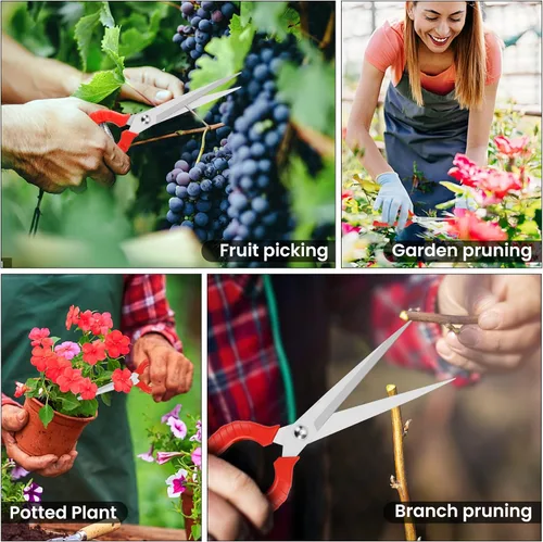 Miniatura 7 de Tijeras de podar extralargas, podadoras manuales de jardinería con cuchillas de acero inoxidable, tijeras de jardín para arreglar flores, recortar