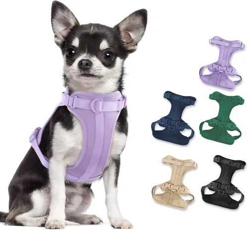 Arnés ligero para perro sin tirones: arnés ajustable y duradero de malla transpirable con cojín suave y cómodo, para perros pequeños, medianos y Lila