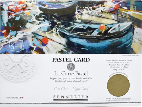 SENNELIER La Carte - Pochette de tarjeta pastel, 15.75 x 11 pulgadas, gris claro monocromático