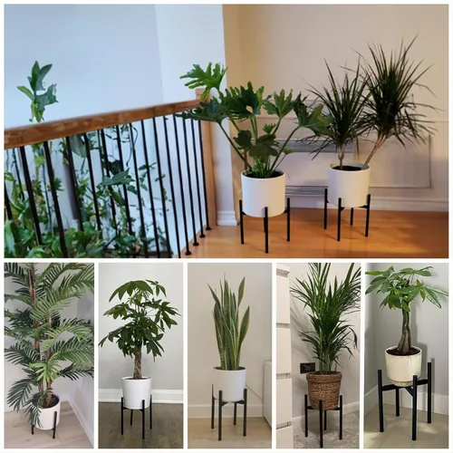 Miniatura 4 de Soporte para plantas, soporte para plantas de interior ajustable para macetas de 8 a 12 pulgadas, soportes de metal para plantas de interior, Negro