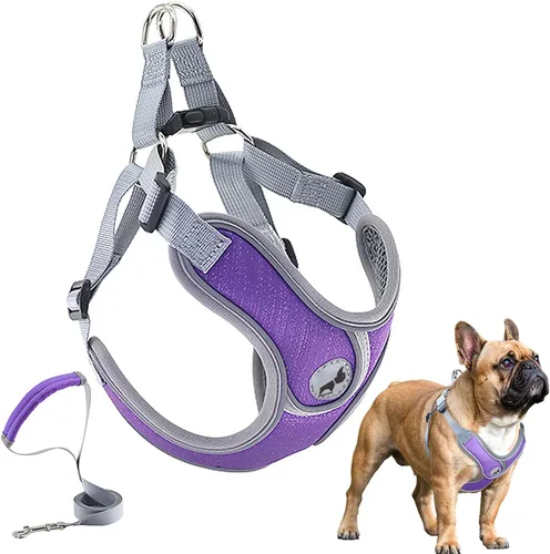 Miniatura 7 de Arnés para perro con juego de correa, arneses para cachorros con acolchado transpirable para entrenamiento y carrera de perros pequeños (XS, gris)