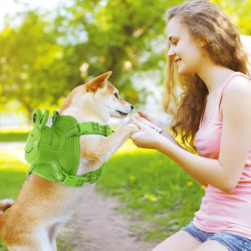 Miniatura 7 de Arnés para perro con mochila, arnés ajustable para perros pequeños y medianos, mochilas transpirables sin tirones para perros, para viajes, Verde