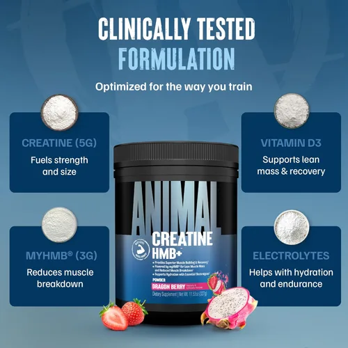 Miniatura 4 de Animal Creatina HMB en Polvo – 3g myHMB + 5g Creatina con Electrolitos para Recuperación y Energía Diaria – Sabor Dragon Berry, 30 Porciones