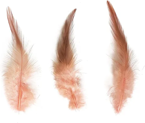 Miniatura 4 de Happy Feather 200 piezas de plumas de gallo para manualidades, plumas de faisán naturales de 5 a 7 pulgadas, aretes colgantes de bricolaje con Rosa