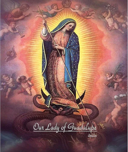 Miniatura 2 de CafePress Our Lady of Guadalupe Rev 12 - Manta de forro polar Sherpa B Sherpa de 60 pulgadas de largo x 50 pulgadas de ancho
