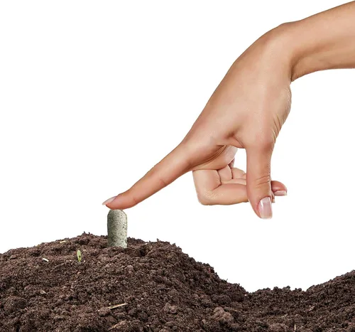 Miniatura 6 de Jobe's Organics - Palitos fertilizantes de harina de hueso, desarrollo de raíces fuertes para bulbos, tomates, rosas y otras plantas con flores, 50