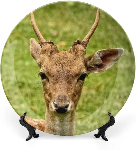 Miniatura 16 de Placa decorativa de animales de camello, placa decorativa de cerámica para pared, plato decorativo con soporte, placa redonda de exhibición