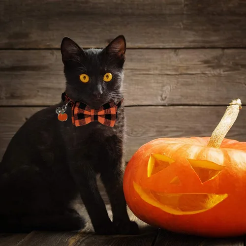 Miniatura 7 de STMK Paquete de 3 collares navideños para gatos con campana, para Halloween, día de Acción de Gracias, gato, gatito, con corbatín, bandana, camisa