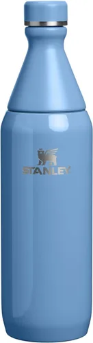 Miniatura 21 de Stanley All Day - Botella delgada de 20 onzas, tapa giratoria con sello a prueba de fugas, diseño delgado para viajes y gimnasio, acero inoxidable