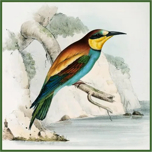 Miniatura 19 de Canguros australianos John Gould Counted Patrón de punto de cruz