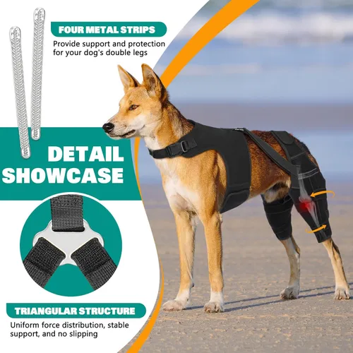 Miniatura 2 de Rodillera para perro, pierna trasera, ajustable, con 4 estabilizadores, soporte de cadera para reducir el dolor, lesiones en los ligamentos y rótula