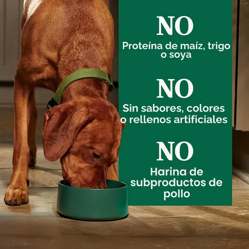 Miniatura 7 de Nutro Natural Choice - Alimento seco para perros, comida para perros adultos, receta de carne seca y arroz integral, 12 libras.