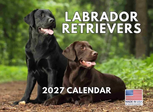 Miniatura 135 de Calendario de pared mensual 2025 Great Dane de 12 meses, fabricado en Estados Unidos