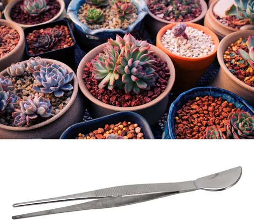 Miniatura 4 de Fdit Pinzas para bonsái de acero inoxidable, pinzas de jardinería para plantas, mango largo, herramienta de bonsái de jardinería, pinzas largas