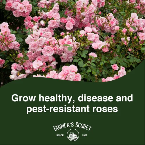Miniatura 3 de Farmer's Secret Fertilizante Rose Booster (8 onzas), súper concentrado, formulado para todo tipo de rosas a lo largo del ciclo de vida, fomenta un