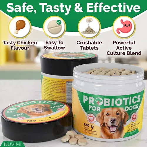 Miniatura 4 de Probióticos para perros – Comprimidos probióticos y prebióticos para perros – Suplemento de apoyo digestivo para la salud intestinal, alivio