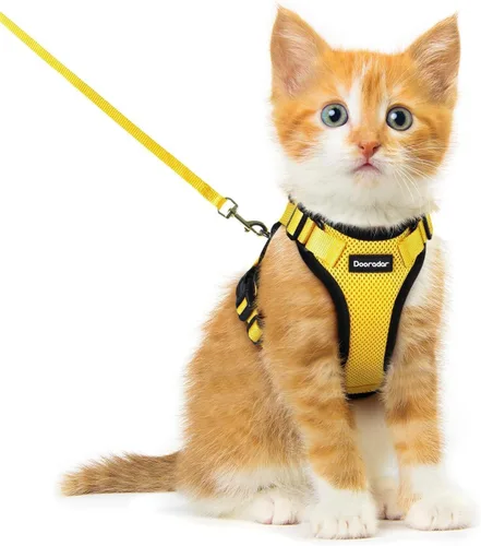 Miniatura 21 de Dooradar Juego de arnés y correa para gato, chaleco ajustable seguro a prueba de escapes, para caminar, chaqueta de malla suave y transpirable