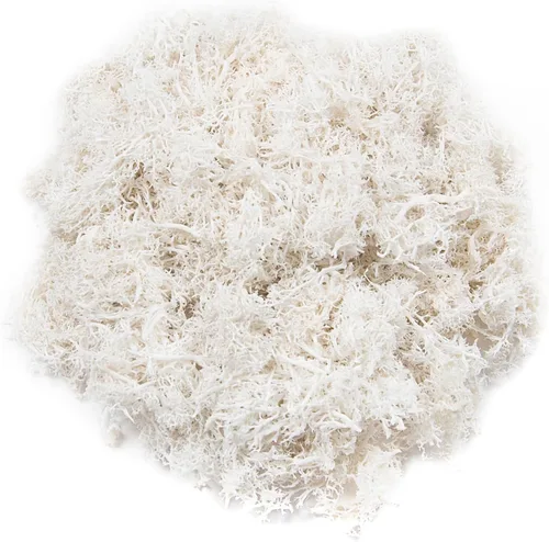 Musgo falso de 3.5 onzas para plantas de interior, musgo blanco artificial realista preservado para manualidades, musgo de reno para centros de mesa