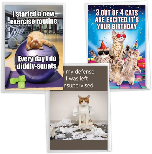 Miniatura 8 de NobleWorks Paquete de 3 divertidas tarjetas de felicitación de cumpleaños con sobres (1 diseño, 3 cada uno) comedero vacío para pájaros C2561BDG-C3x1