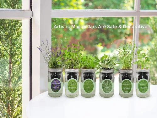 Miniatura 6 de Kit de cultivo de hierbas hidropónicas, kit de inicio de jardín de hierbas con riego automático en tarro de masón para interiores, jardín de hierbas