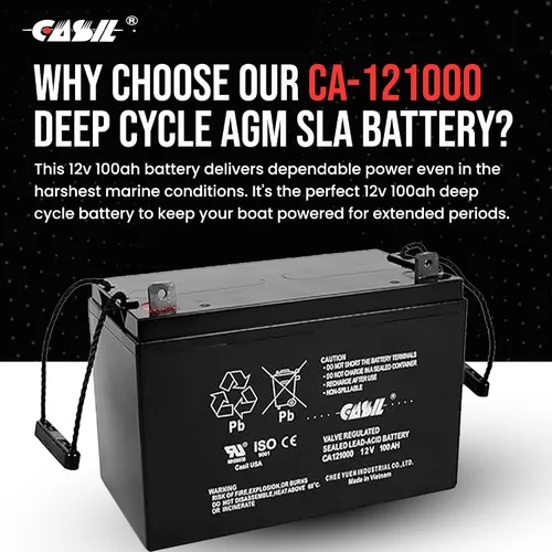 Miniatura 4 de Casil Batería 12v 100ah para paneles solares RENOGY PV