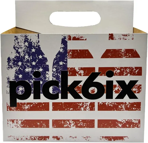 ICE N COLD Paquete de 6 bolsas de cartón (bandera americana, 150 unidades) | Capacidad para 6 botellas de 12 onzas | Envío rápido el mismo día