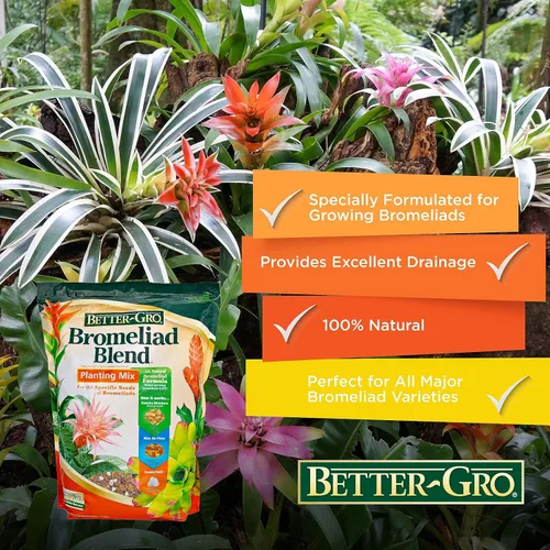 Miniatura 8 de Better-Gro Mezcla de bromelia 8 cuartos