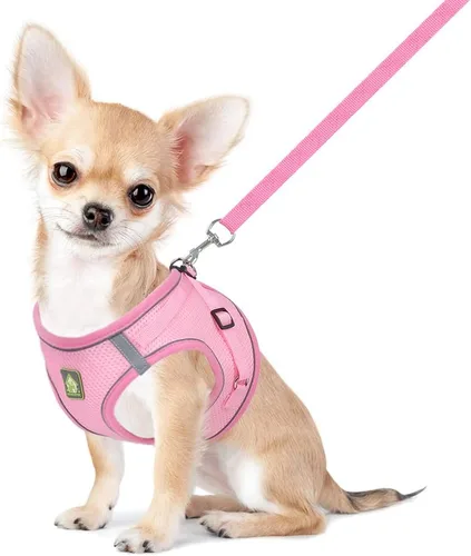 Miniatura 9 de FEimaX Juego de arnés y correa para perro, sin tirones, transpirable, chaleco de arnés de malla suave para cachorro, arnés reflectante ajustable