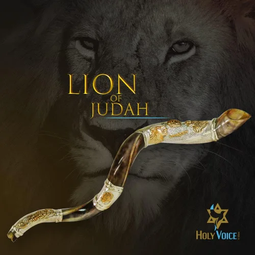Miniatura 4 de Holy Voice Cuerno decorativo Kudu Shofar de León de Juda, chapado en plata de ley de 36 a 39 pulgadas, con soporte, bolsa de transporte y cepillo