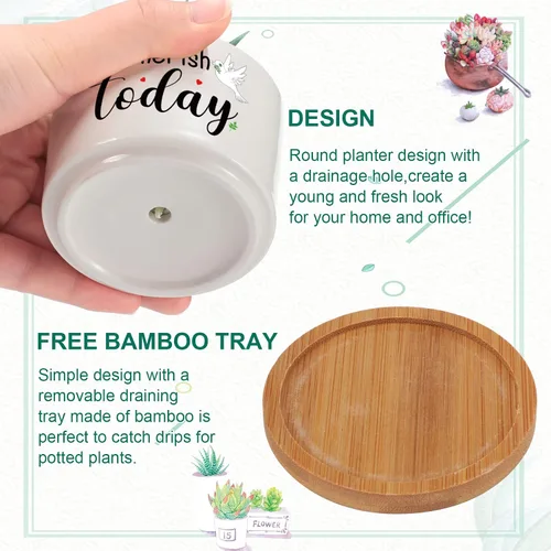 Miniatura 3 de 6 piezas de juego de regalos con versículos de la Biblia cristiana, gracioso juego de macetas para plantas suculentas con bandeja de bambú, maceta