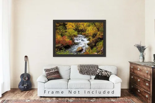 Miniatura 5 de Black Hills Photography Print (Not Framed) Picture of Creek Surrounded by Fall Foliage on Autumn Day in Spearfish Canyon South Dakota Nature Wall