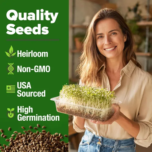 Miniatura 2 de HOME GROWN Semillas de germinación de alfalfa de 8 onzas sin OMG, procedentes de Estados Unidos, de alta germinación, microverdes de rápido