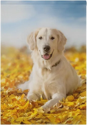 Hokkien Bandera de jardín de perro Golden Retriever de otoño de doble cara de 12 x 18 pulgadas, banderas decorativas de jardín pequeñas, decoración