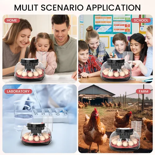 Miniatura 7 de Incubadora de 12 huevos para incubar huevos de pollo, codorniz/pato, giro automático, control digital de humedad/temperatura, vela LED, recarga Onyx