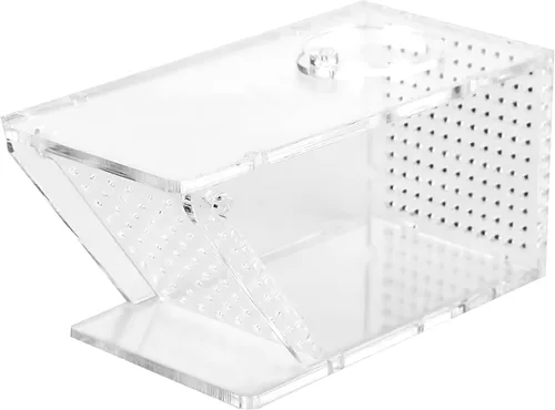 Trampa acrílica para peces de cangrejo – Mini caja colectora de agua dulce para acuario, puerta unidireccional, transparente para una fácil