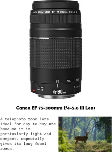 Miniatura 3 de Canon Paquete de cámara DSLR EOS Rebel T7 con lente Canon EF-S 0.709-2.165 in f/3.5-5.6 is II + Canon EF 2.953-11.811 in f/4-5.6 III lente + 2