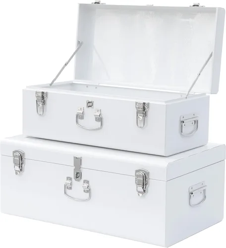 Miniatura 20 de Vixdonos Conjunto de 2 baúles de almacenamiento decorativos de metal – baúl para dormitorio universitario con asa (rosa)