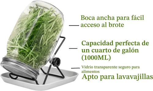 Miniatura 2 de Lulonpon Juego de 2 tarros para cultivar brotes, tarros de boca ancha de un cuarto de galón con tapas de germinación de pantalla de acero